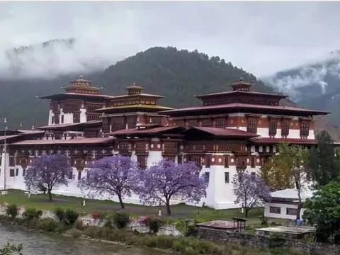 Best Bhutan Tours and Holidays 2025/2026 from Australia
