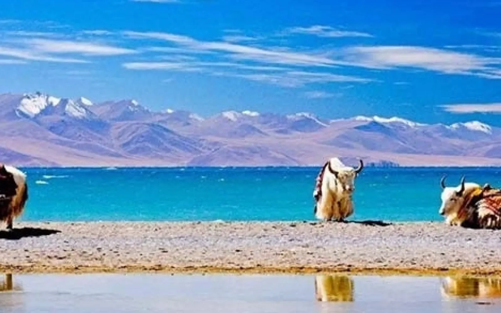 India,Nepal and Tibet Tour