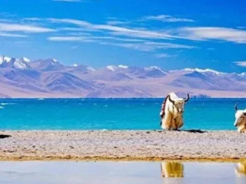 India,Nepal and Tibet Tour