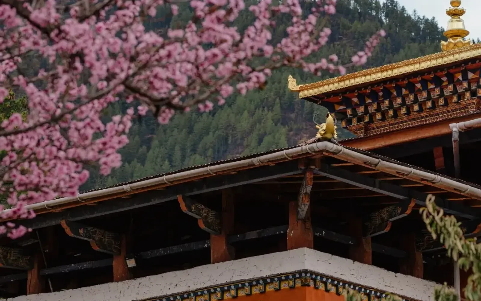 Bhutan in April,Travel tips, weather and Best things to Do