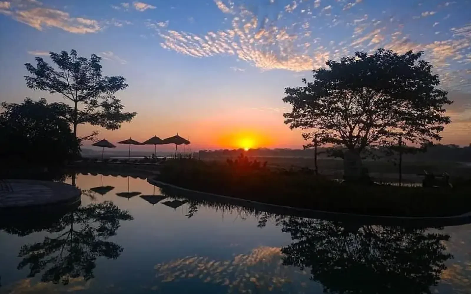 Things to Do in Chitwan and the Best Jungle Safari Experiences in Nepal