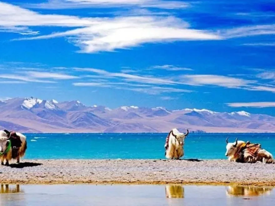 India Nepal and Tibet Tours