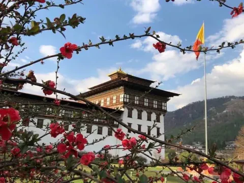 Best Tour of Bhutan