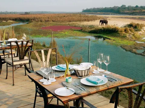 Jungle Safari in Nepal