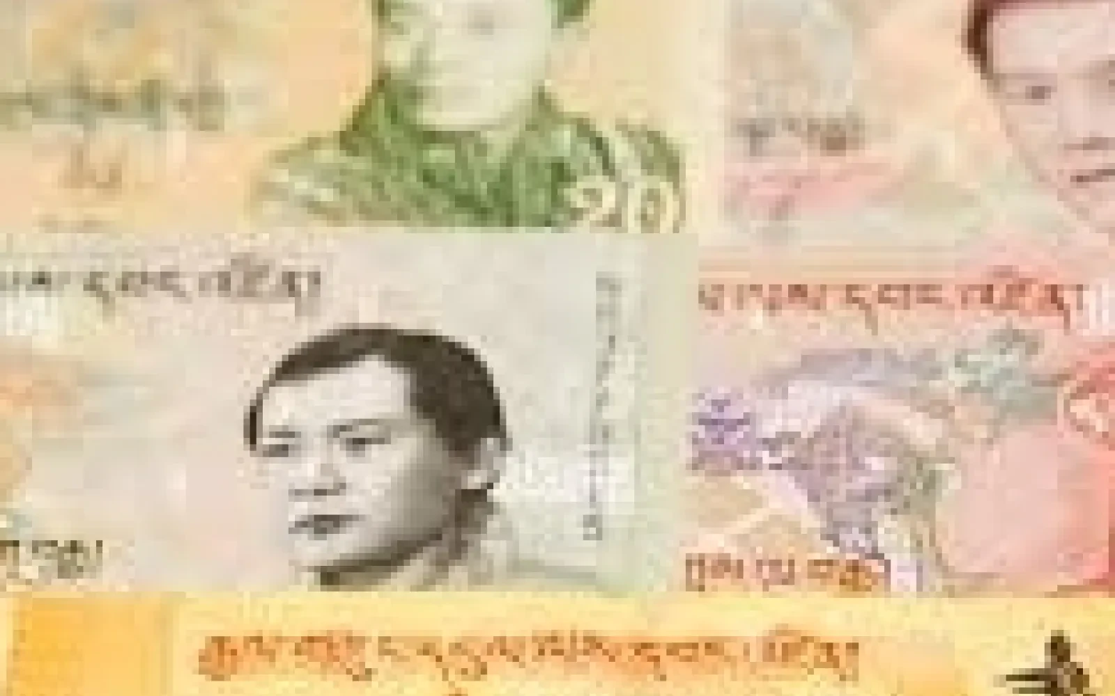Bhutan Currency Exchange