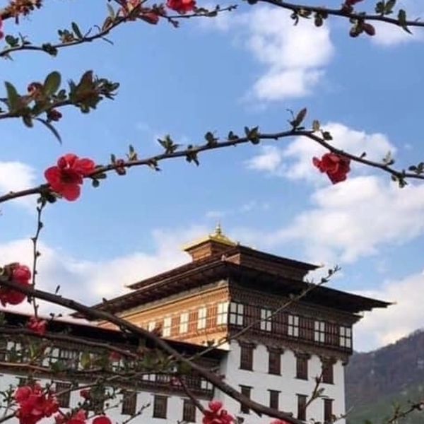 Best Time To Visit Bhutan