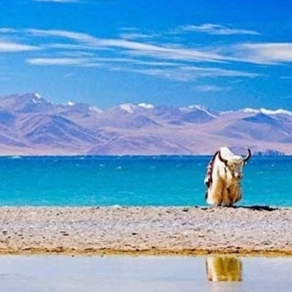 India,Nepal and Tibet Tour