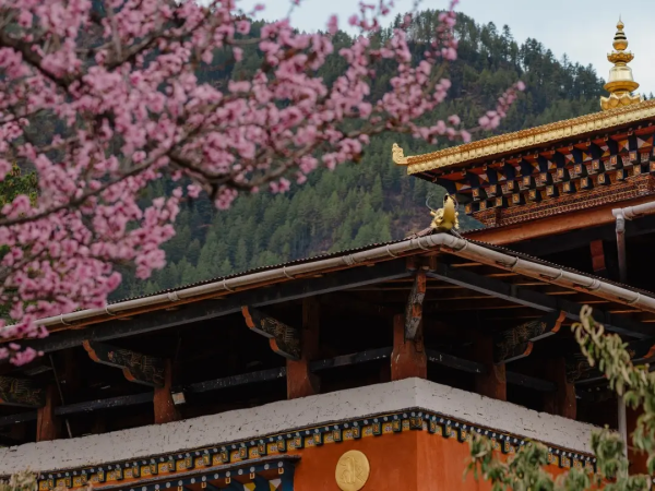 Bhutan in April,Travel tips, weather and Best things to Do