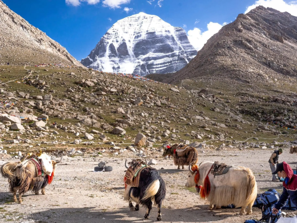 Kailash Mansarovar Yatra 2025
