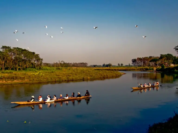 Nepal jungle safari and Best month