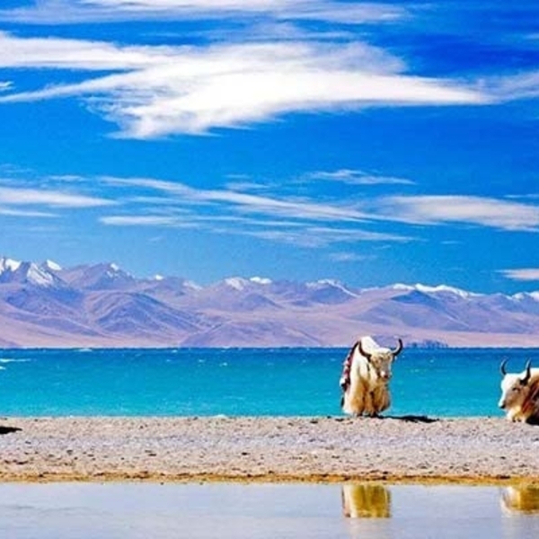 India Nepal and Tibet Tours