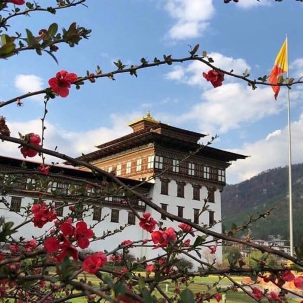 Best Tour of Bhutan