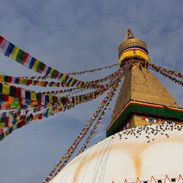 Kathmandu, Pokhara and Chitwan Tour